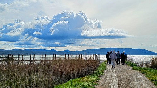 Nature Park Vrana Lake - Ornithological Reserve in Sibenik, Croatia