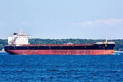 6M7A8788