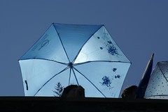 The blue Umbrella
