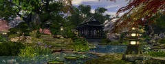 Ripple (1) - Calas Galadhon and The Grove,  