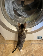 Washing Machines are Important!