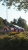 Peugeot 207 @ Rallye des Ardennes 2023