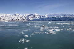 Disenchantment Bay, Hubbard Glacier. Alaska