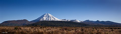 Ngauruhoe - Tongariro Panorama