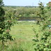 meadows along River Trent near Ingleby 2