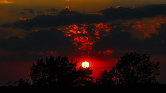 Sunset* near Wolvega - The Netherlands (DR0025)