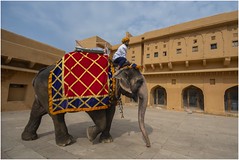 Jaipur - Fort Amber