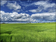 Crops & Clouds, Landscape IMG_7015