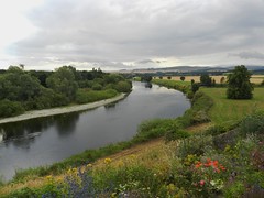River Tweed, Coldstream, July 2022