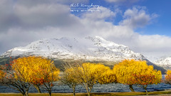 Winter trees and The Remarkables, Queenstown, New Zealand