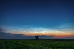 Noctilucent clouds over Poland 19.06.2023.