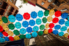 Parapluies / Umbrellas 2023
