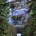Multnomah Falls and trees.  Bridge and waterfall near Portland, Oregon.