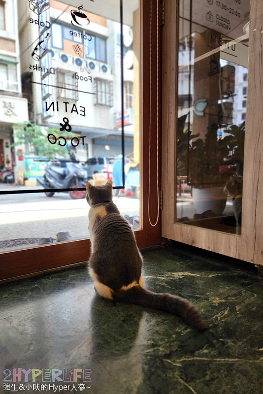 日常貓咪咖啡│有三隻店貓坐檯陪吃的貓咪咖啡廳好療癒，平日不限時也有賣調酒和鹹食哦！ @強生與小吠的Hyper人蔘~