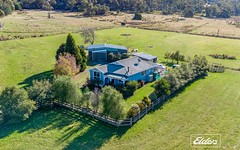 34 Youngs Road, Mount Direction TAS