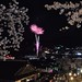 津山さくらまつり夜桜と花火_349