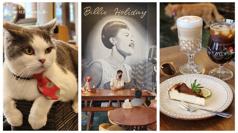 日常貓咪咖啡│有三隻店貓坐檯的貓咪咖啡廳好療癒，平日不限時也有賣調酒和鹹食哦！