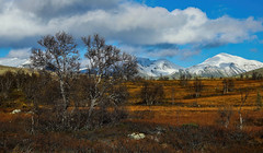 Rondane National Park (Explored)