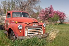 Abandoned Truck Springtime 7471 A