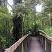 #Te Waikoropupū Springs #PuPu Springs #Takaka #South Island #New Zealand