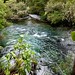 #Te Waikoropupū Springs #PuPu Springs #Takaka #South Island #New Zealand