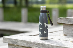 Dog Water Bottle Landscape