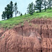 Spearfish Formation redbeds (Permian and/or Triassic; cut near Sturgis, South Dakota, USA) 1
