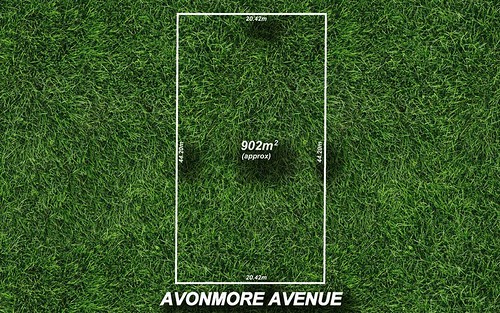 43 Avonmore Avenue, Trinity Gardens SA