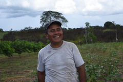 Sustainability-flavored cocoa in Peru