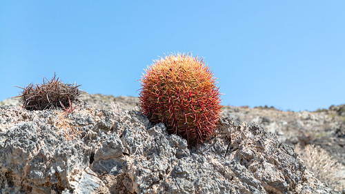USA - California - Mojave National Preserve