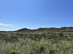 Landschaft Sylt