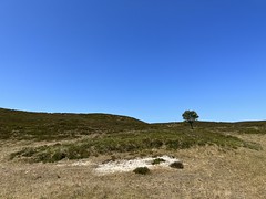 Landschaft Sylt