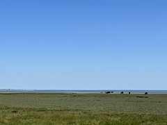 Landschaft Sylt