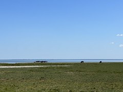 Landschaft Sylt