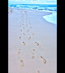 Footprints on Sandy Beach - Honolulu, Oahu, Hawaii