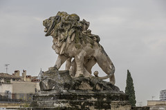 Montpellier<br/>© <a href="https://flickr.com/people/28754568@N02" target="_blank" rel="nofollow">28754568@N02</a> (<a href="https://flickr.com/photo.gne?id=53029642178" target="_blank" rel="nofollow">Flickr</a>)