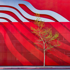 LA Tapestries VIII – Tree on Red