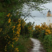 Tobermory lighthouse
