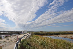 Saline Margherita di Savoia, Barletta Andria Trani