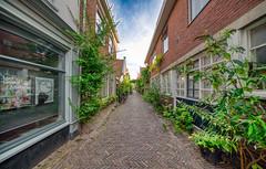 Sint Jacobstraat, city of Alkmaar, The Netherlands.