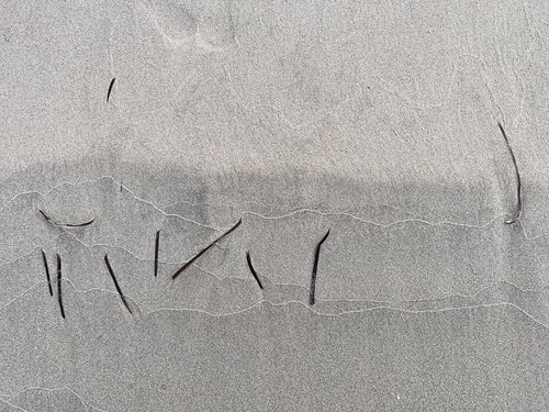 Beach calligraphy