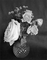 vases avec des roses séchées