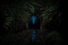 Glowworm tunnel