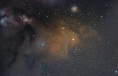 A Portion of the Rho Ophiuchi Cloud Complex
