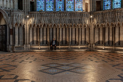 occupied stall, Chapter House, York Minster