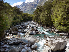 The Hollyford River