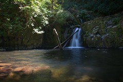 Sweet Creek Falls