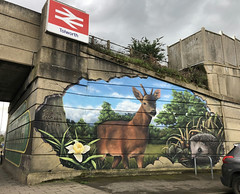 Wildlife mural at Tolworth Station