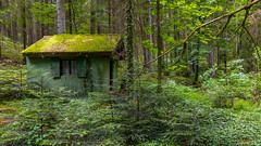 A cottage in the green