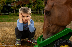 Young Farmer and his Horse...